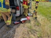 Kleintierrettung, A3 Richtung Würzburg, 24.05.2025